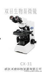 奥林巴斯CX-31双目生物显微镜